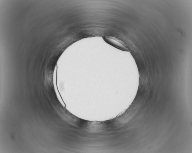 X0000110690141200907241112