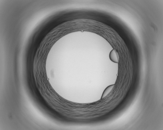 X0000110690142200907241112