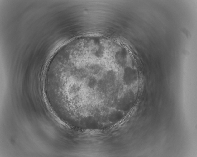 X0000110690145200907241111