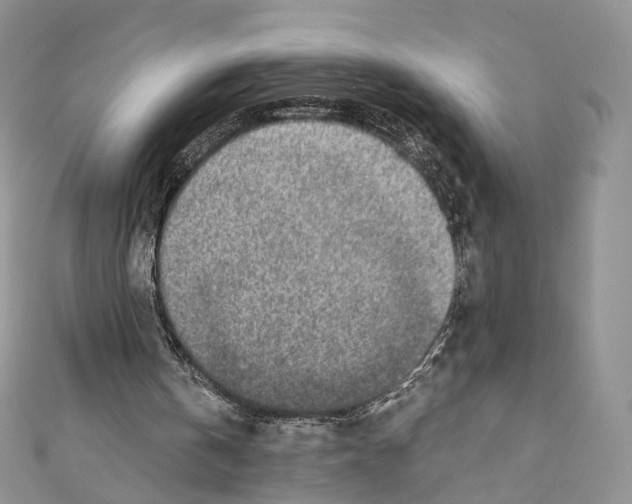 X0000110690146200907241111