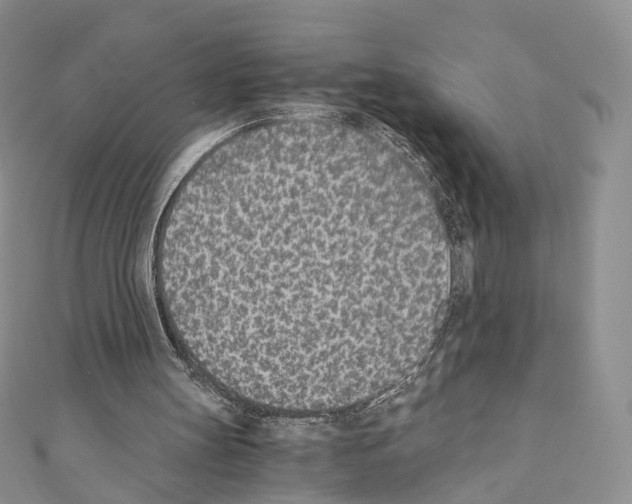 X0000110690147200907241111