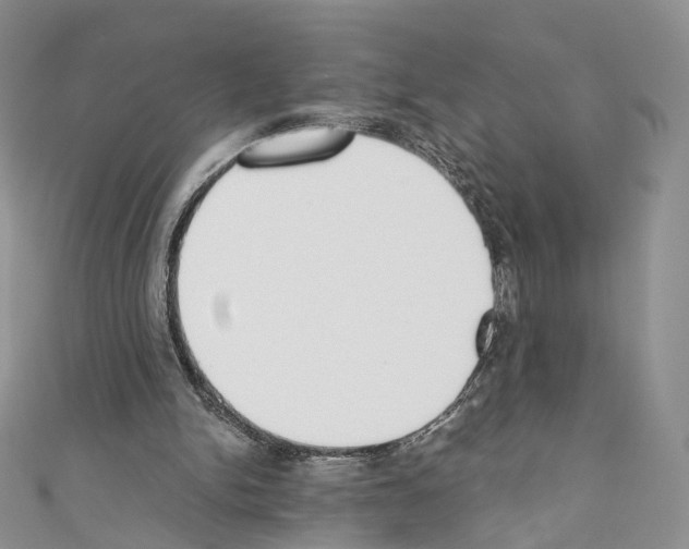 X0000110690150200907241111