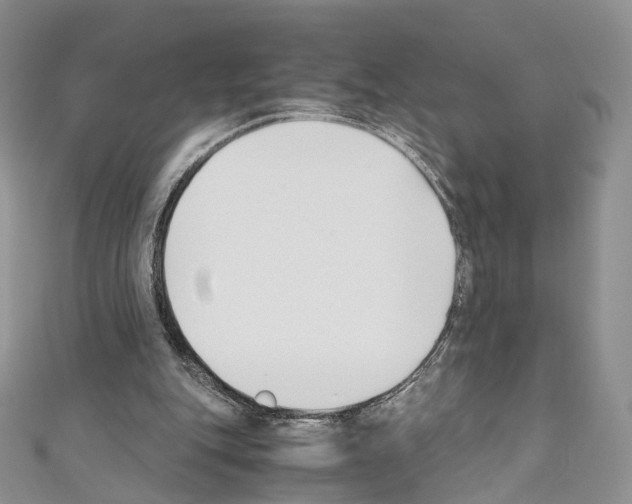 X0000110690151200907241111