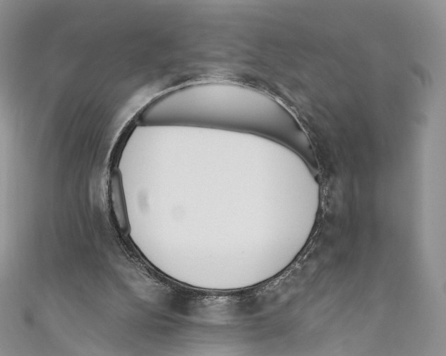 X0000110690152200907241111