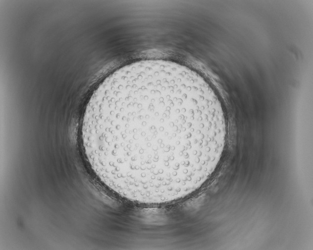 X0000110690153200907241111