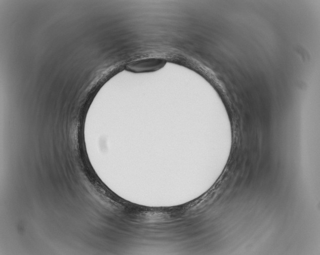 X0000110690154200907241111