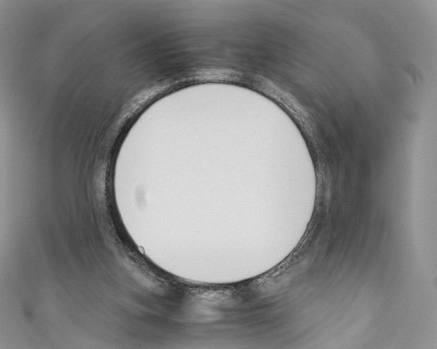 X0000110690155200907241111