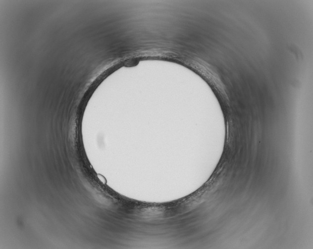 X0000110690156200907241111