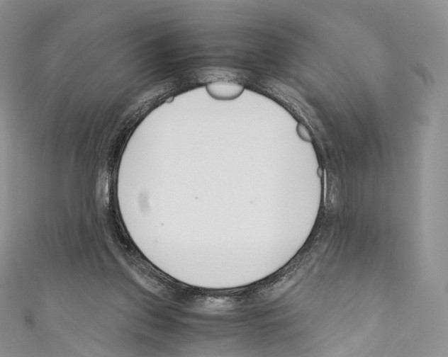 X0000110690157200907241111