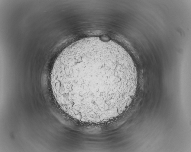 X0000110690161200907241111