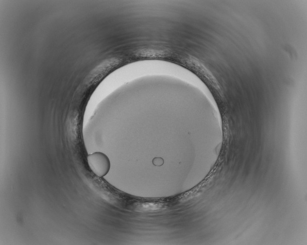 X0000110690163200907241111