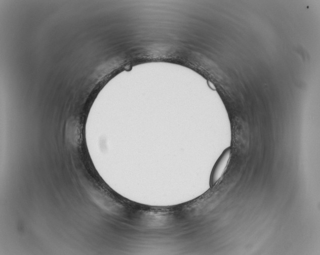 X0000110690164200907241111