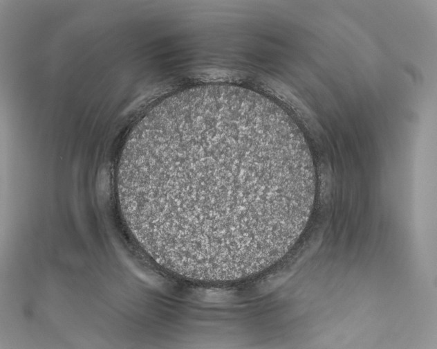 X0000110690165200907241111