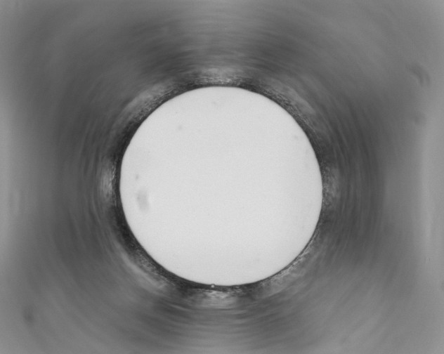 X0000110690166200907241111