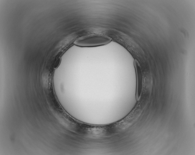 X0000110690168200907241111