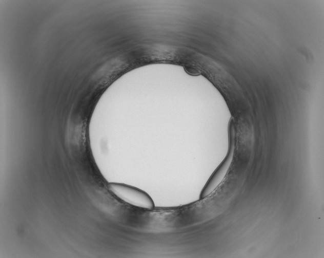 X0000110690172200907241111