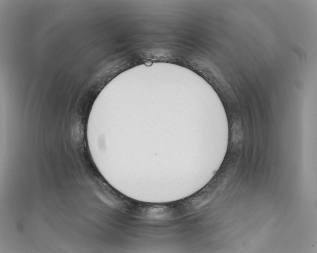 X0000110690173200907241111