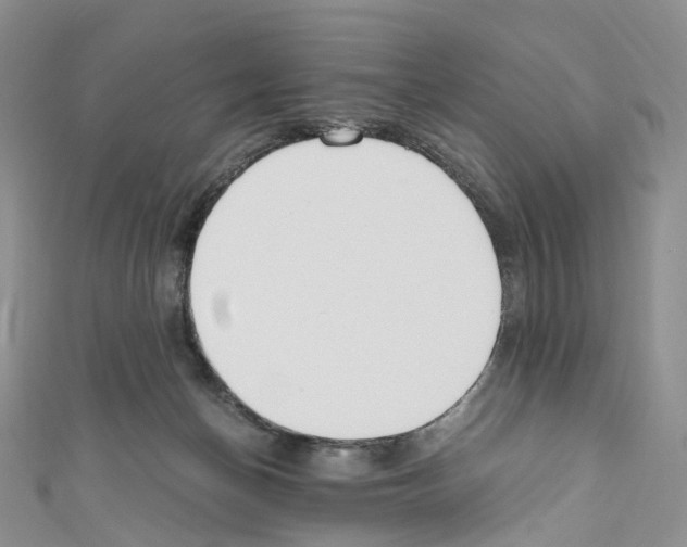 X0000110690174200907241111