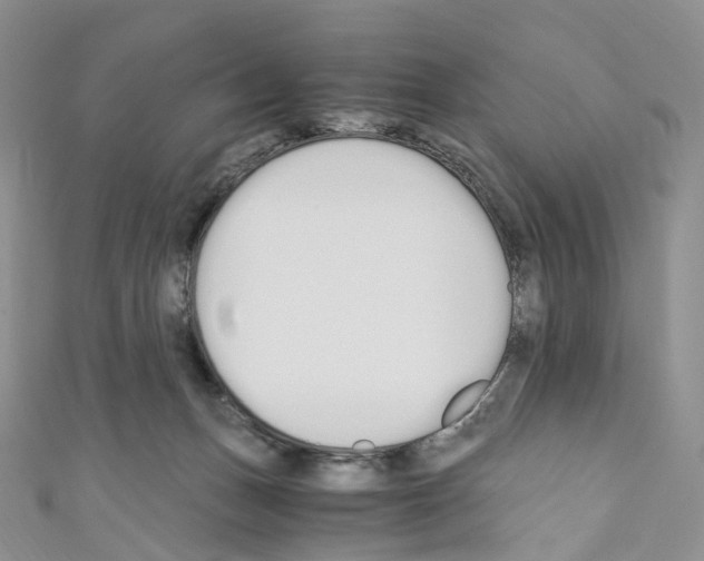 X0000110690175200907241112