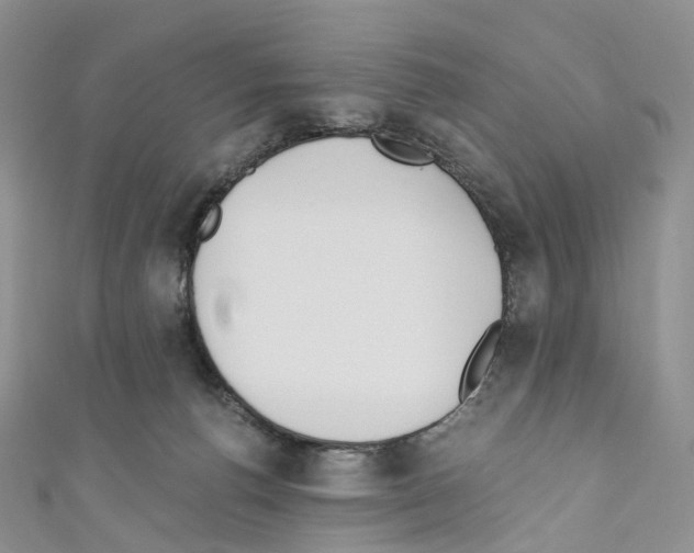 X0000110690176200907241112