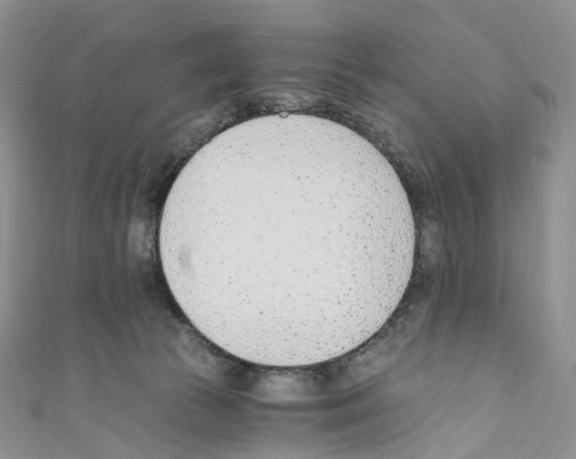 X0000110690177200907241112