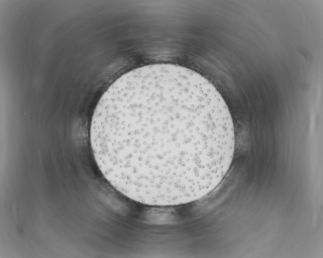 X0000110690179200907241112