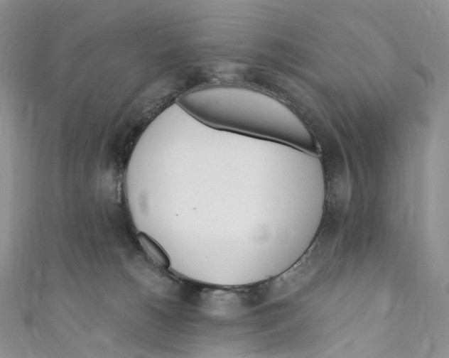 X0000110690180200907241112