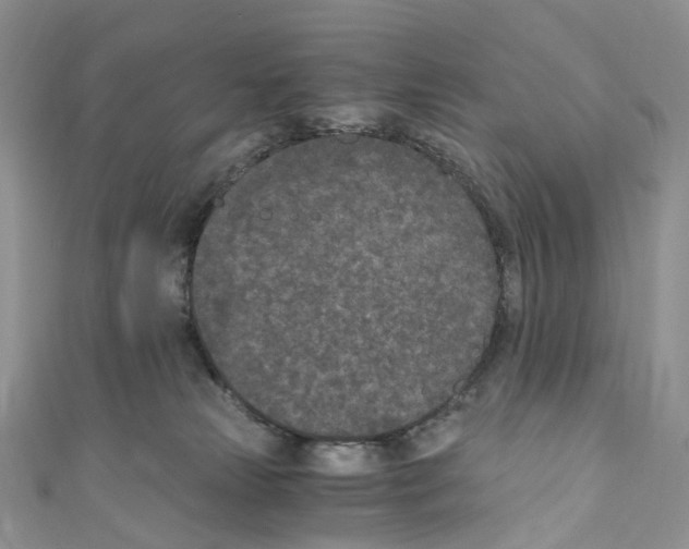 X0000110690181200907241112