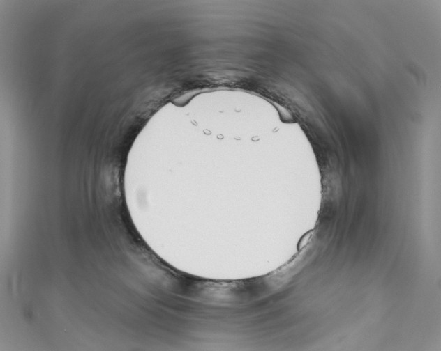 X0000110690182200907241112