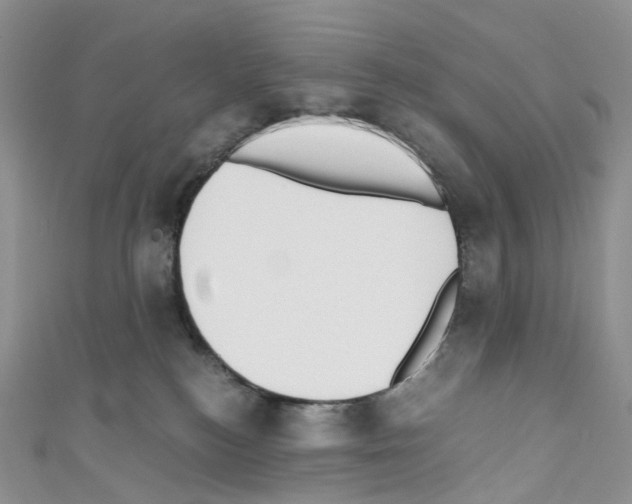 X0000110690184200907241112