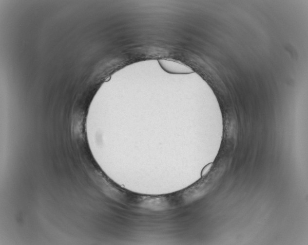 X0000110690185200907241112