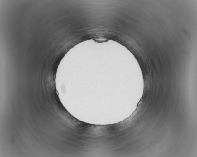 X0000110690186200907241112