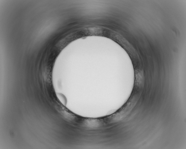 X0000110690189200907241112