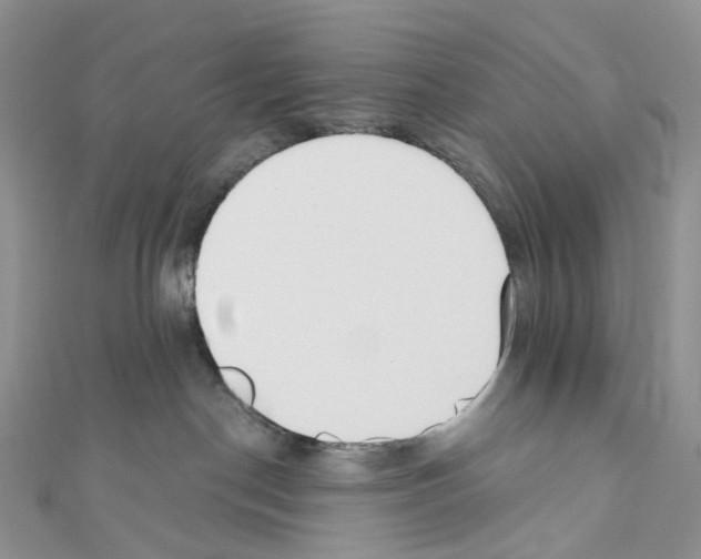 X0000110690190200907241112