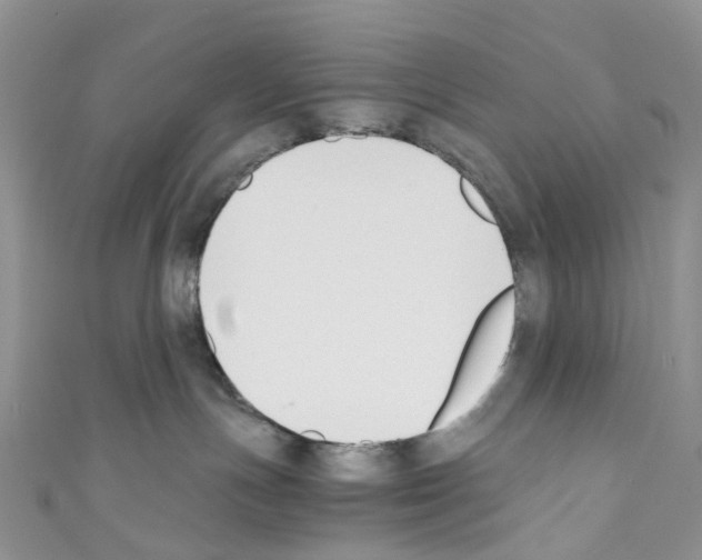 X0000110690191200907241112