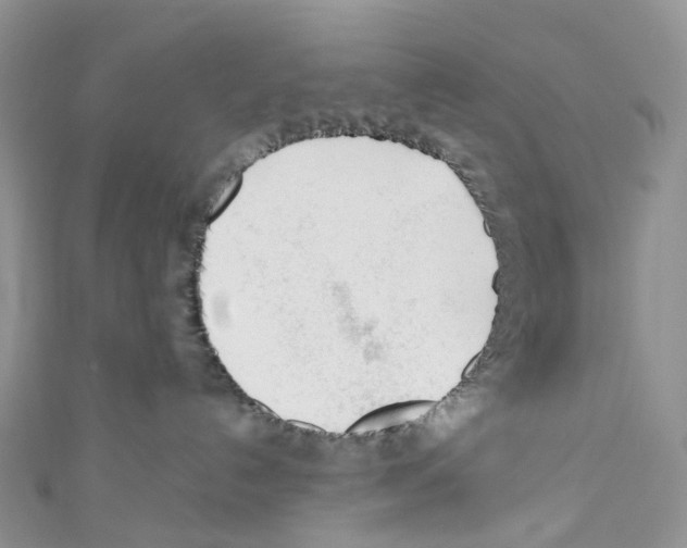 X0000110690192200907241112