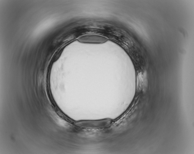 X0000110690195200907241111