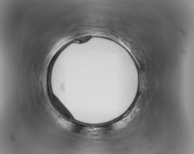 X0000110690199200907241111