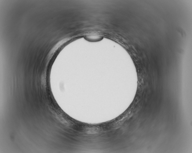 X0000110690200200907241111