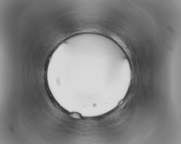 X0000110690201200907241111