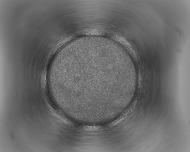 X0000110690202200907241111