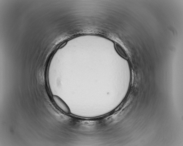 X0000110690203200907241111