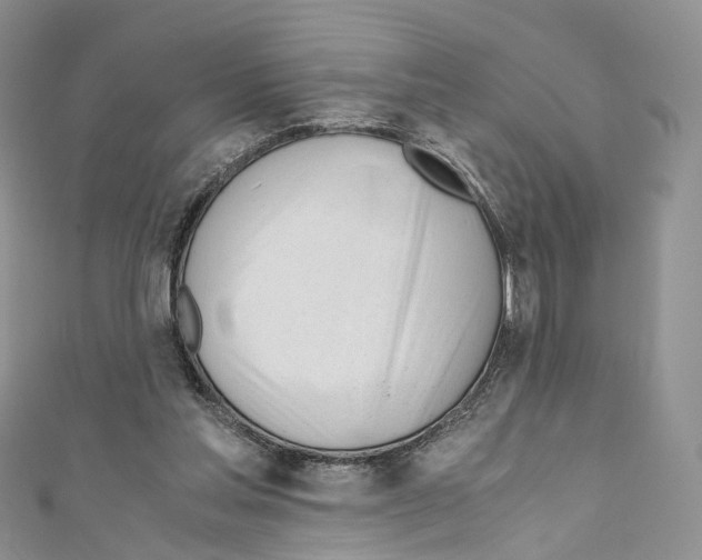 X0000110690205200907241111