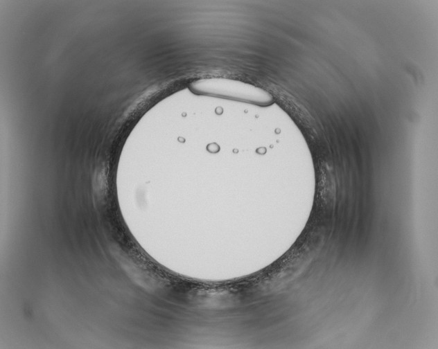 X0000110690208200907241111