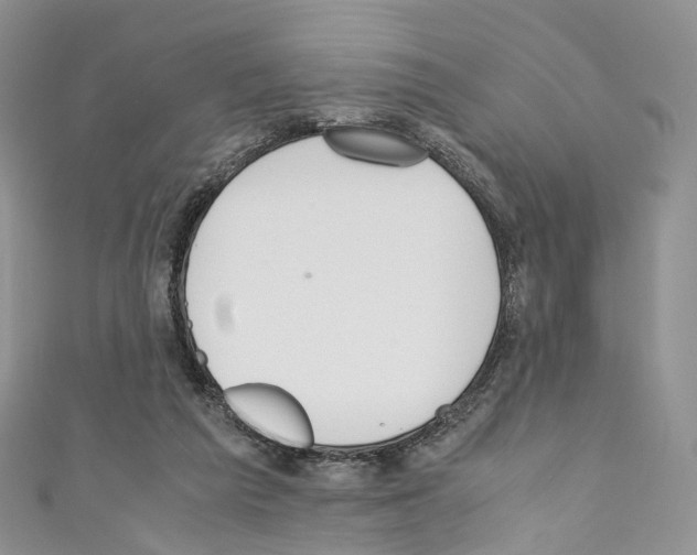 X0000110690209200907241111