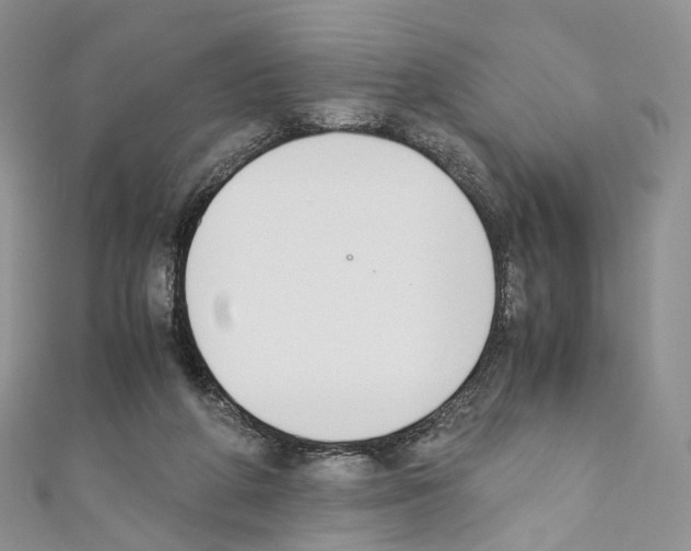 X0000110690210200907241111