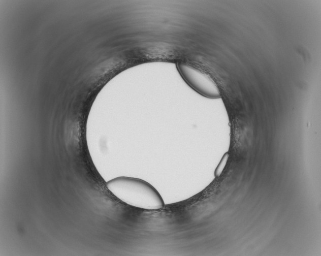 X0000110690211200907241111