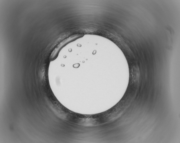 X0000110690212200907241111