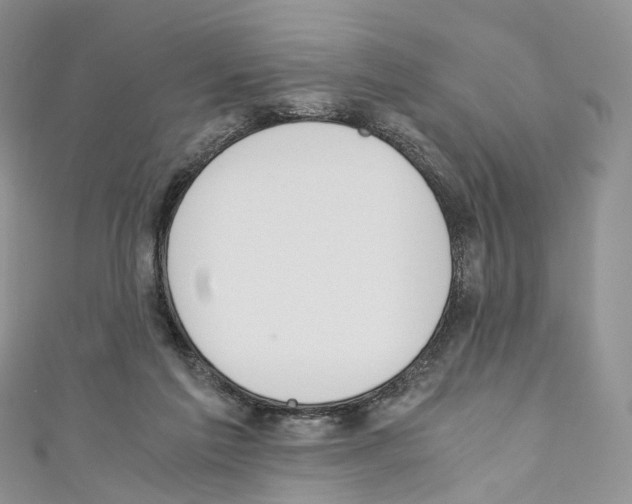 X0000110690213200907241111