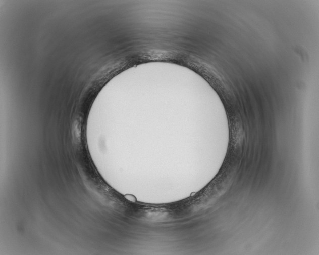 X0000110690214200907241111